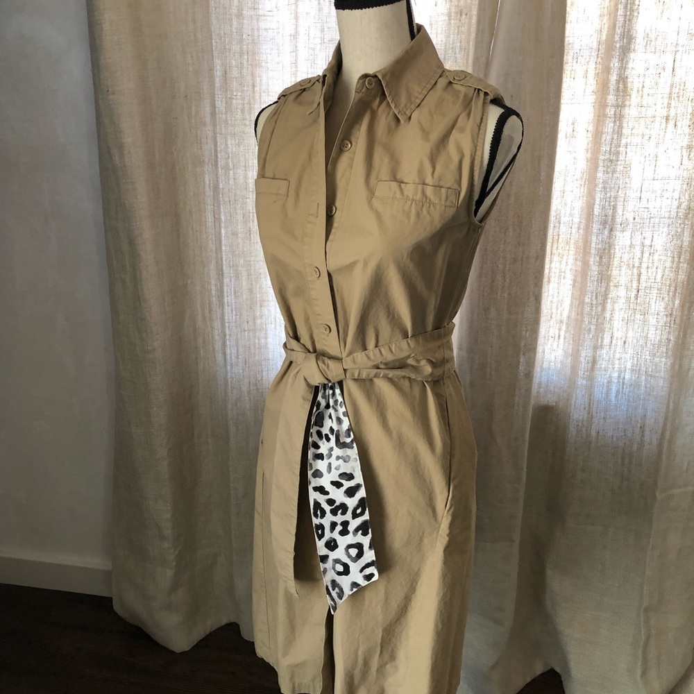 Rogan safari dress